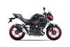 2024 Z500 SE