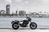 2024 ELIMINATOR