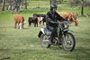 2024 STOCKMAN