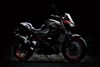 2024 Z500 SE