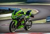 2024 NINJA ZX-4RR KRT EDITION