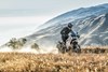 2024 KLR650 S