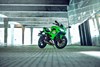 2025 NINJA 650 KRT EDITION