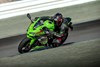 2024 NINJA ZX-4RR KRT EDITION